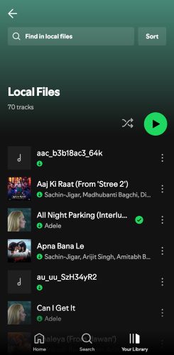 Android Local Files folder | Add Downloaded MP3 Songs to Spotify