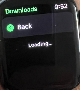 Spotify Apple Watch downloading screen | Download Spotify Songs onto Apple Watch