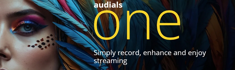 audials one | Audials One Netflix, Audials one 12 recording Netflix