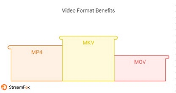 enhanced storage | netflix to mkv