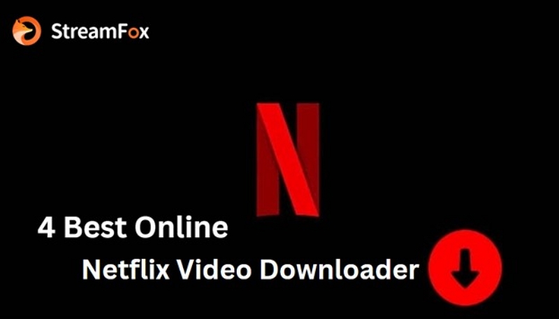 bypass these obstacles | online Netflix video downloader