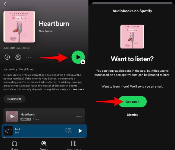 select Get Email | Play and Download Audiobooks from Spotify