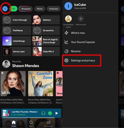 choose Settings and Privacy | Download Spotify Music to Phone Storage