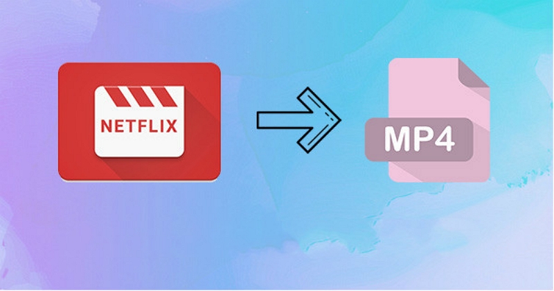 transform your Netflix shows | netflix converter