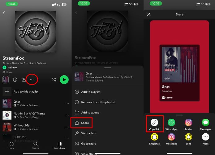 select Share | Convert Spotify Music to AAC