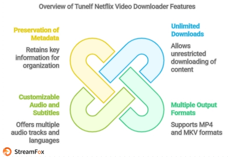 Key Features of Tunelf | tunelf Netflix video downloader