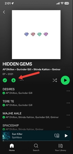 download albums Spotify mobile | Download Spotify Album to MP3