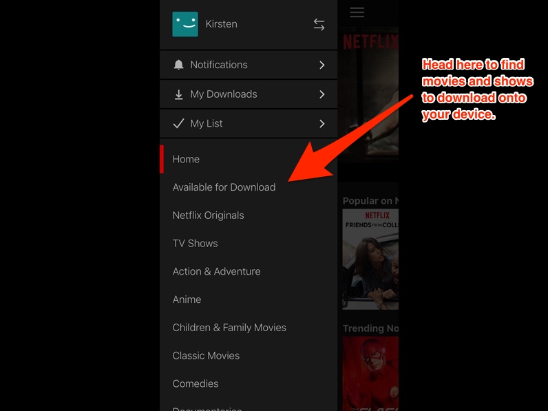 available for download | can you download Netflix shows on laptop