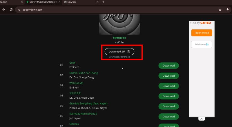 choose Download ZIP | Get Spotify Music on Chromebook