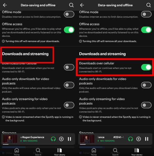 switch on Download Over Cellular | Download Spotify Music Without WiFi