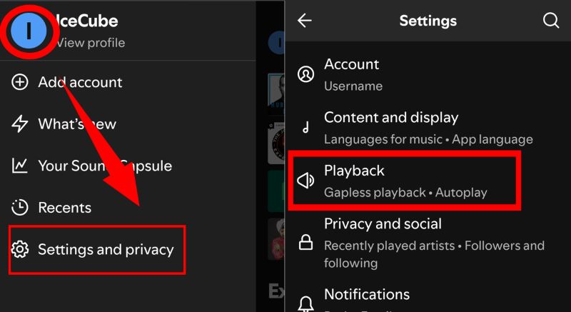 tap Playbacky | Spotify Playing but No Sound