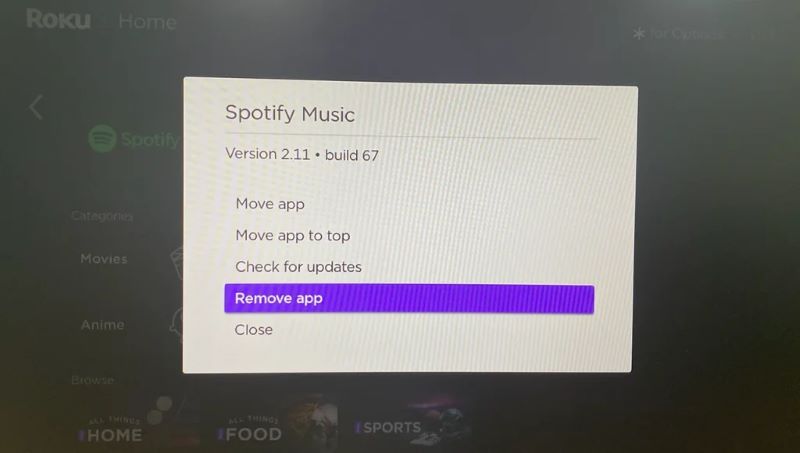 reinstall Spotify | Play Spotify on Roku TV