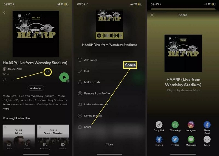 select Copy link | Download Songs from Spotify on iPad 