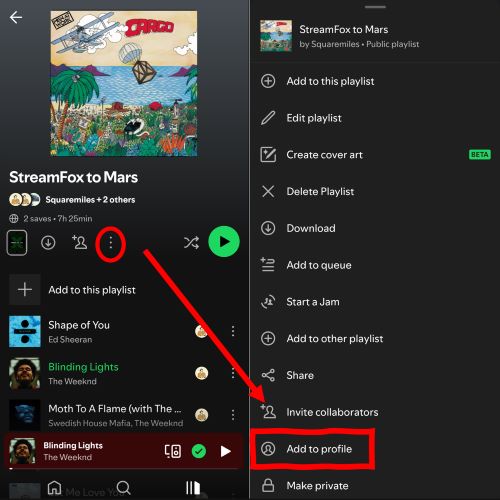 tap Add to Profile | Pin Playlists on Spotify Library