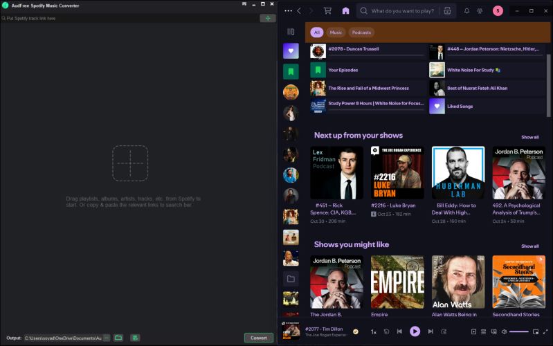 download AudFree Spotify Music Converter | AudFree Spotify Music Converter Review