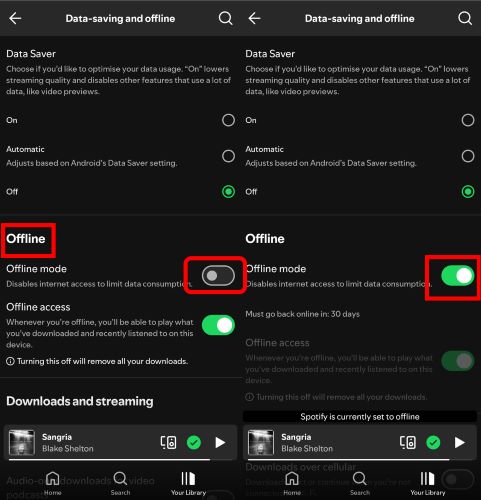 go to Playback | Download Songs on Spotify Using Cellular Data