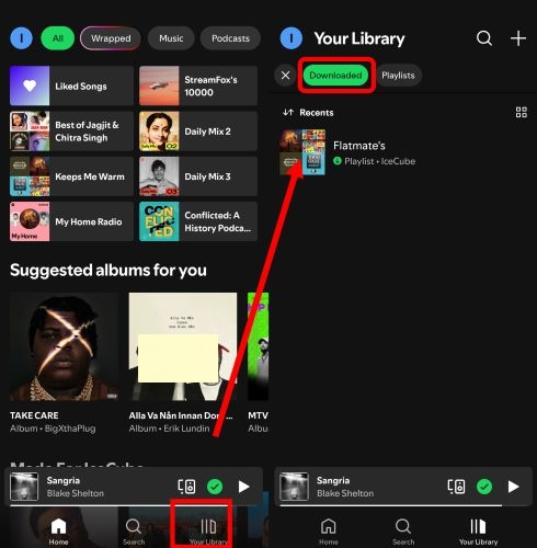 toggle on Offline Mode | Download Songs on Spotify Using Cellular Data