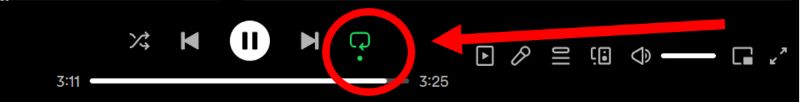 activated repeat mode | Repeat or Loop Spotify Playlist
