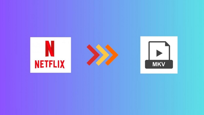 convert netflix downloads | netflix to mkv