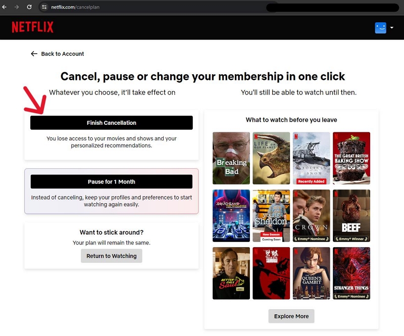 cancel membership | save money on netflix