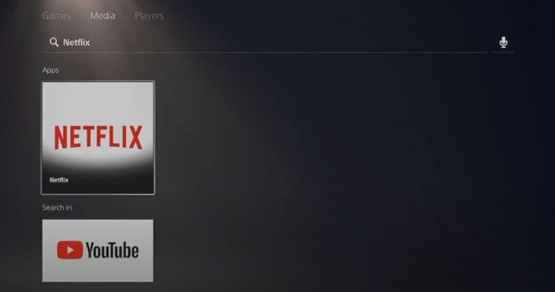 enter in the search bar | Netflix on ps4