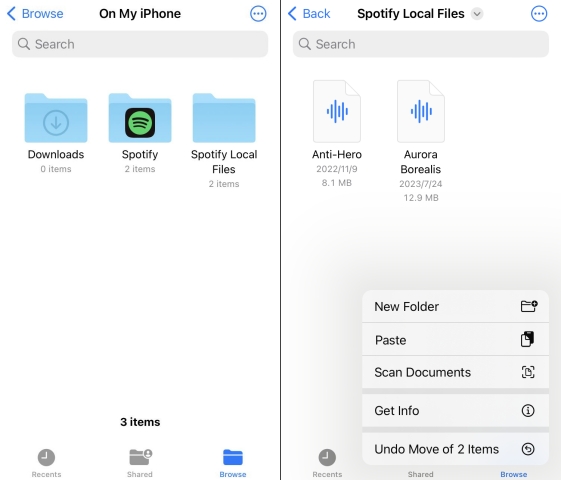 paste local files to Spotify folder | Download Songs from Spotify on iPad 