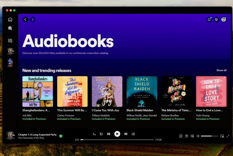 play audiobooks with Audiobooks Access | Play and Download Audiobooks from Spotify