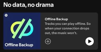 Spotify Offline Backup | Listen to Spotify on Airplane Mode