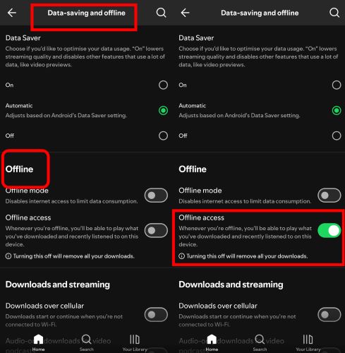 Offline Access Spotify | Listen to Spotify on Airplane Mode