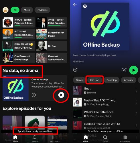 play offline backup playlist | Listen to Spotify on Airplane Mode