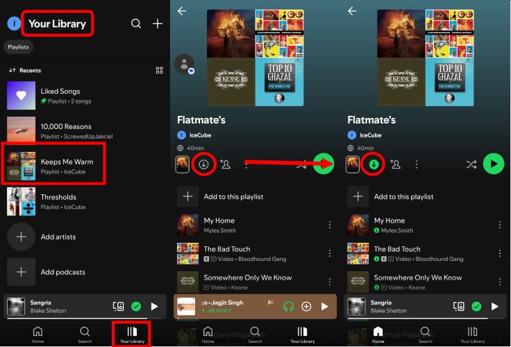 download Spotify music with app | Listen to Spotify on Airplane Mode