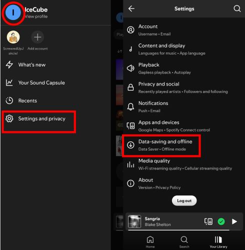 enable Spotify offline mode | Listen to Spotify on Airplane Mode