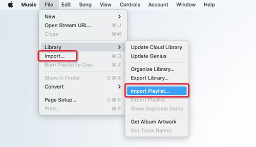 select Import | Play Spotify on HomePod