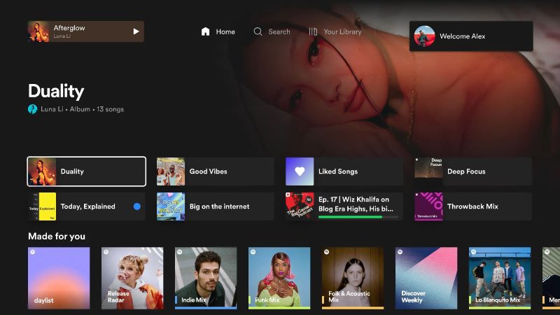 Spotify music playback | Play Spotify on Roku TV