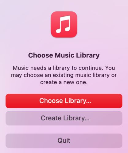 select Choose Library | Randomize Spotify Playlists