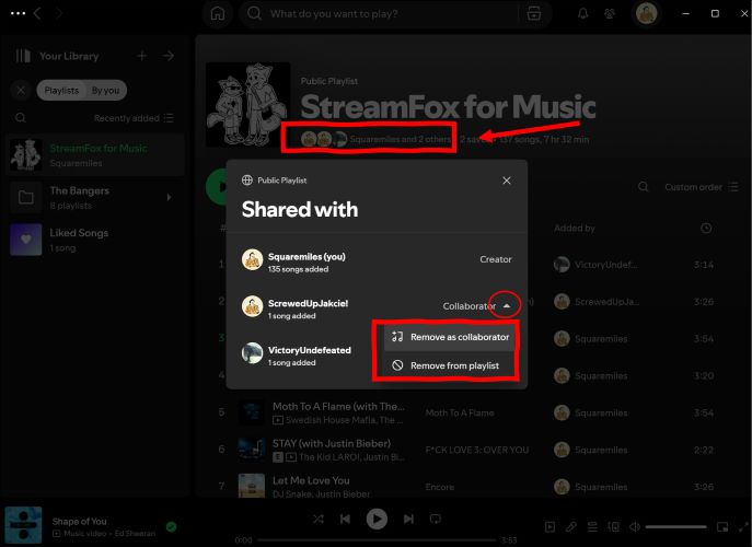 remove from playlist | Spotify Collaborative Playlists
