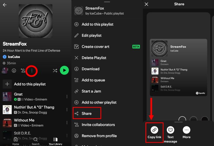 tap Copy Link | Remove DRM from Spotify