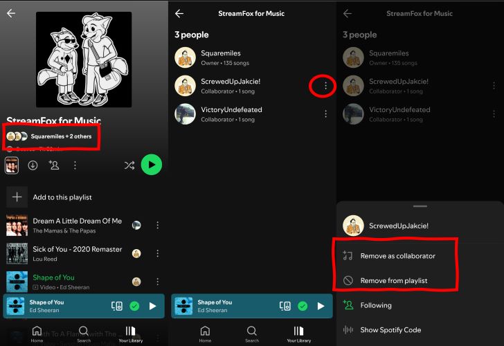 tap Remove as Collaborator | Spotify Collaborative Playlists