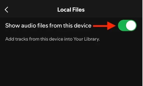 Show audio files option Spotify | Download Songs from Spotify on iPad 