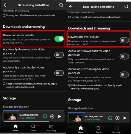 enable Downloads over cellular | Do Spotify Downloads Use Data