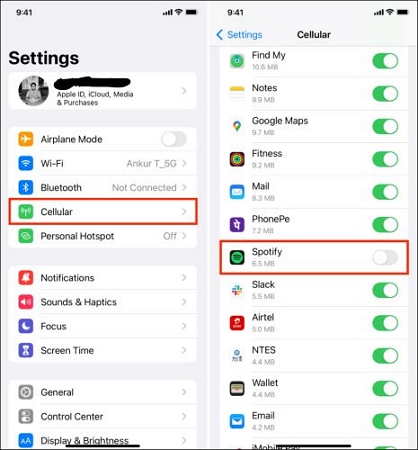 disallow Spotify to use cellular iPhone | Do Spotify Downloads Use Data