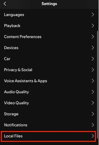 Local Files icon Spotify | Download Songs from Spotify on iPad 