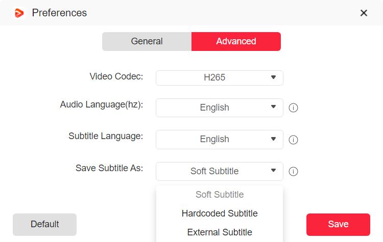 advanced settings of the tool | Netflix subtitles downloader