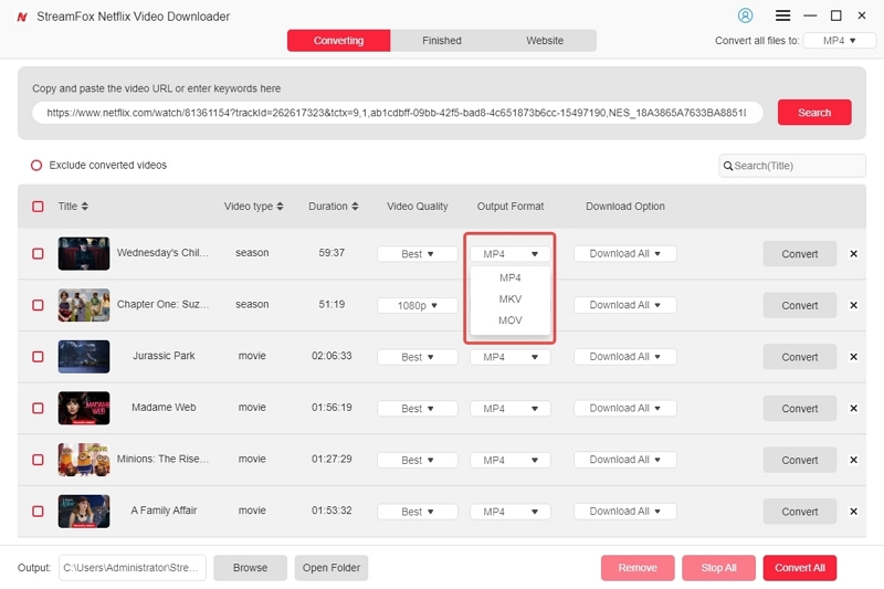 convert video format to MKV | netflix movie downloader