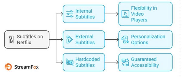 types of subtitles on netflix | Netflix subtitles downloader