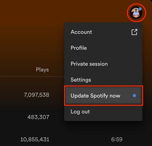 update Spotify desktop app | Spotify Mini Player