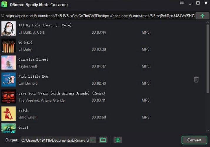 paste Spotify link to DRmare | DRmare Spotify Music Converter Review